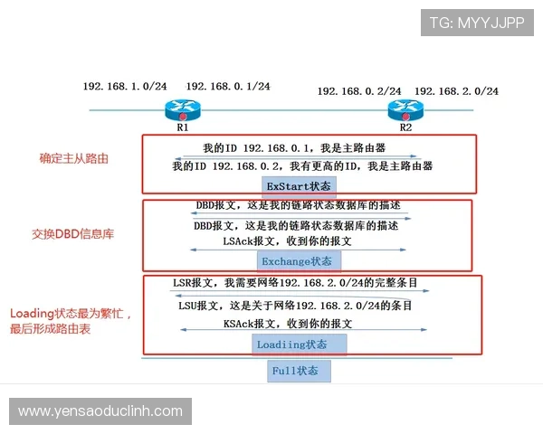 全面解析PA视讯(中文)官方网站的最新功能与优惠活动，助您轻松掌握游戏最新动态