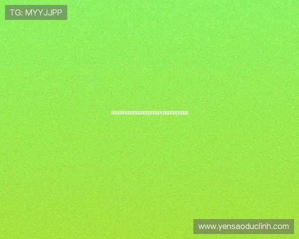 真人视讯网址登录线路优化方案，提升登录速度和游戏体验的实用技巧
